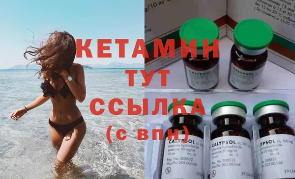 индика Осинники
