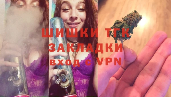 МДПВ Алексин