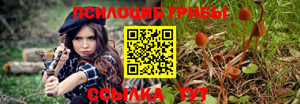 Псилоцибиновые грибы Psilocybe Урай