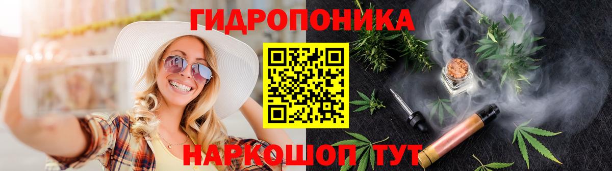 Бошки марихуана OG Kush Урай